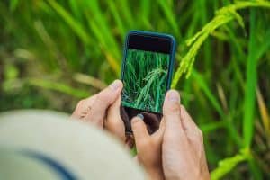 App para Identificar plantas